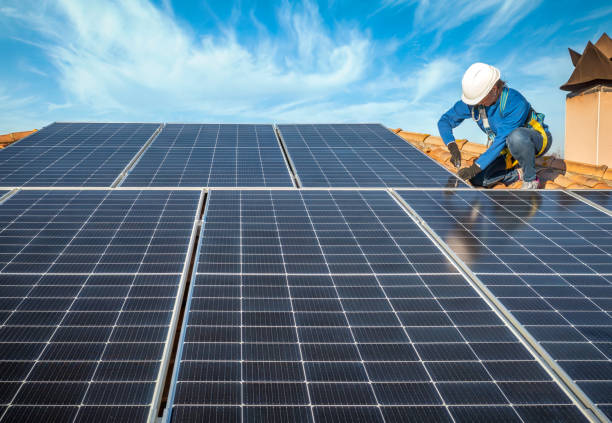Best Roof Moss and Algae Removal  in Lemon Hill, CA
