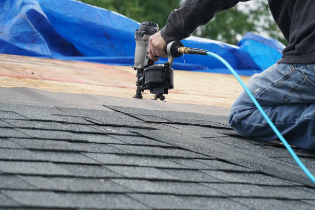 Best Roof Moss and Algae Removal  in Lemon Hill, CA