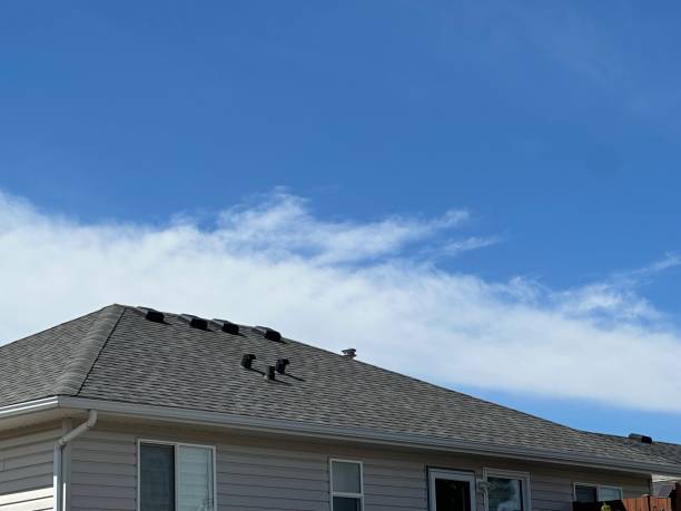 Best Skylight Installation and Repair  in Lemon Hill, CA